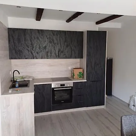 Apartment Ena Radiceva